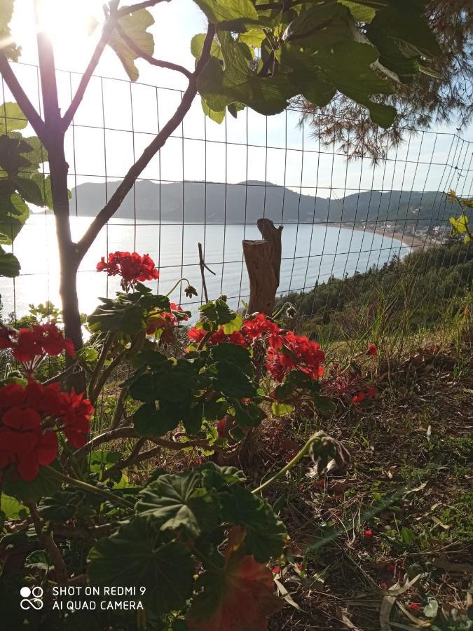 Cozy Apartment Few Mins From Beach Corfu Agios Georgios Pagon Exterior photo